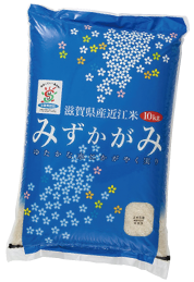 近江米 みずかがみ10kg